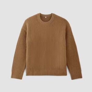Everlane Felted Merino Oversized Crewneck